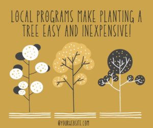 Local Programs for Planting a Tree