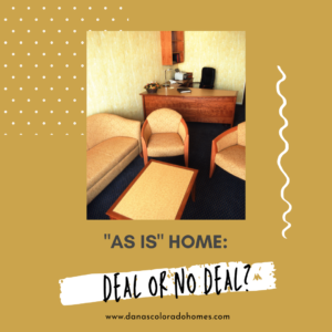 "As is" Home - Deal or No Deal?
